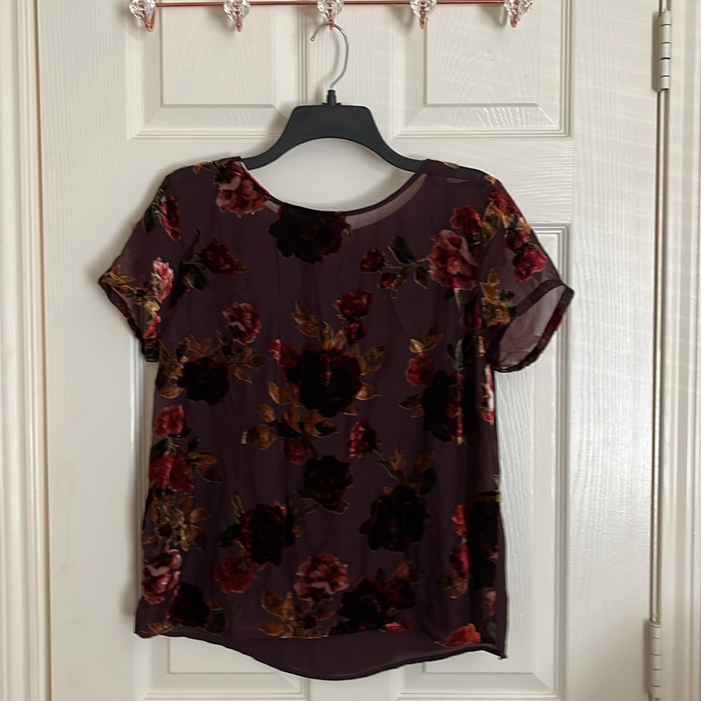 Brown A.N.A Short Sleeved Blouse